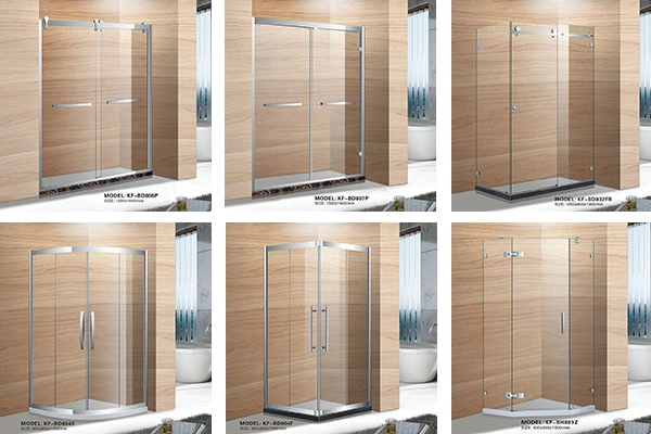 Hinged Frameless Tempered Glass Shower Door (BH803P)