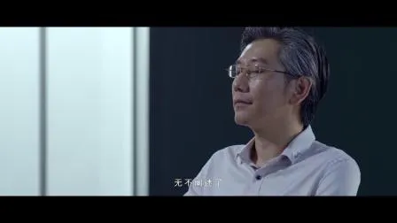 Shower Enclosure Door Cabin CE ANSI Bsen Custom Black Framed Glass Shower Doors Pivot Glass Shower Enclosure